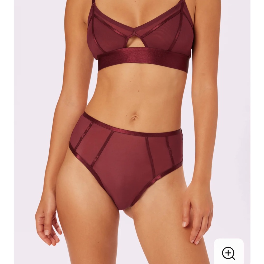 Parade Underwear, Sheer Sculpt Pop High Rise Cheeky, size Medium, new with tags